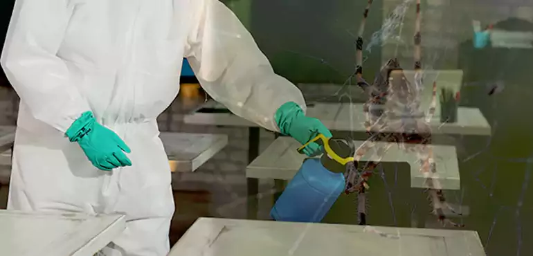 Why Buyers Still Want Homes With Pest Infestations in Durham, NC?